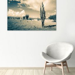 999Store Brown & White Desert Wall Art-image-35