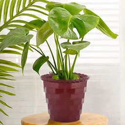 Kuber Industries Pack of 2 Solid Brick Flower Pot-48