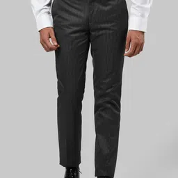 Raymond Men Grey Slim Fit Solid Formal Trousers-image-48