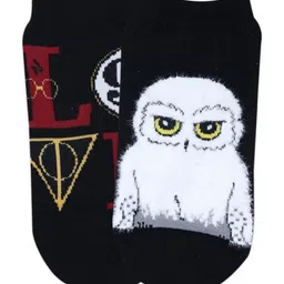 Balenzia Women Pack of 2 Ankle-Length Harry Potter & Hedwig Fur Socks-image-85
