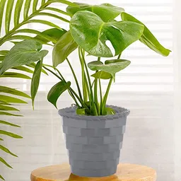 Kuber Industries Set of 2 Solid Brick Flower Pots-22