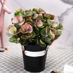 TAYHAA Green & Black Eucalyptus Artificial Plant With Pot-13