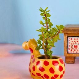 WEAVING HOMES Yellow & Red Giraffe Printed Ceramic Planter-50