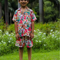 Stuffie Land Boys Printed Pure Cotton Shirt With Shorts-39