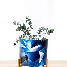 Nymph Reva Home White & Blue Printed Planters With Stand-image-32