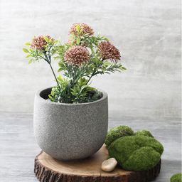 Pure Home and Living Grey Solid Round Classic Planter-58