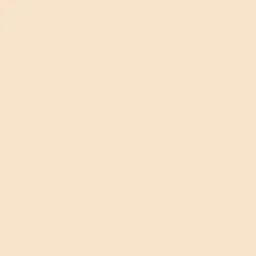 INCOLOR Foundation Skin Coverage - 30 ml 01 White Ivory image 5