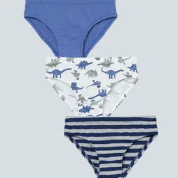 Charm n Cherish Boys Pack Of 3 Striped Pure Cotton Briefs BWBRI47-11