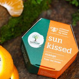 Last Forest Set of 3 Artisanal Beeswax Handmade Lip Balms - 10 g Each-30