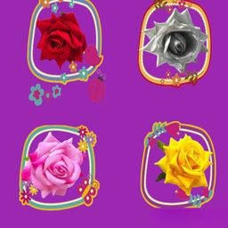 LYF5STAR Set of 4 U Pins-image-76