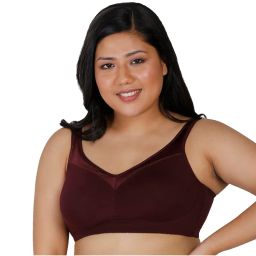 Enamor A112 Smooth Lift Stretch Cotton Classic Bra - Maroon-picture-46
