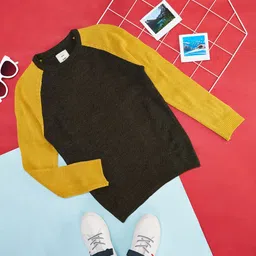 Pantaloons Junior Boys Yellow & Black Pullover-picture-28
