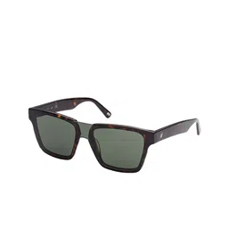 WEB EYEWEAR Unisex Brown Square Sunglasses WE0314 00 52P-Green-picture-36