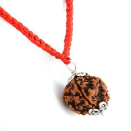 numeroastro Natural & Original 8 Mukhi Rudraksha | Eight Faced Rudraksha Pendant With Lab Certificate (1 Pc) image 2