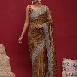 Anouk Brown Embellished Zari Net Designer Striped Saree-picture-14