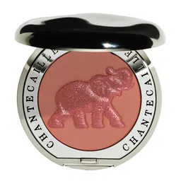 Chantecaille Cheek Shade Smitten - Elephant - 2.5g-image-16