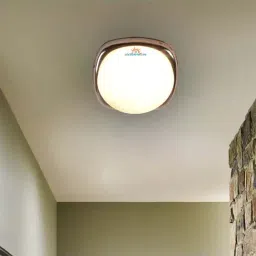 DecorativeRay White Iron Ceiling Light - Set of 1-image-86