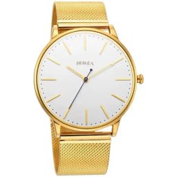 Nebula 5064DM01 Milanese Analog Watch for Men-picture-39