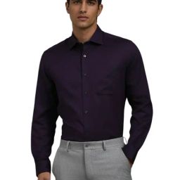 Louis Philippe Purple Cotton Regular Fit Shirt-picture-37