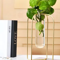 CraftVatika Transparent Glass Propagation Station Test Tube Flower Vase With Frame-20