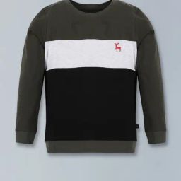 3PIN Boys Multi Cotton Color Block T-Shirt-20