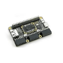 Sipeed Tang Primer 25K Dock GOWIN GW5A RISCV FPGA Development Board PMOD SDRAM image 1