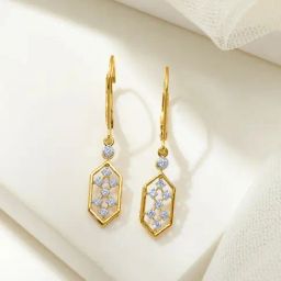 P.N.Gadgil Jewellers 14KT Yellow Gold and Diamond Drop Earring for Women-image-40