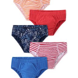 Honeyhap Premium Cotton Elastane Single Jersey Striped Briefs with Bio Finish Pack of 5 - Multicolour-image-27