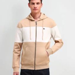 Arrow Sport Beige Cotton Regular Fit Colour Block Hooded Sweatshirt-picture-11