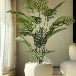 Mason Home Green Pvc Artificial Areca Palm Tree - 6 Ft-image-1