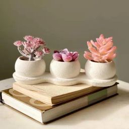 Mason Home Pink Artificial Trio Succulents-image-59
