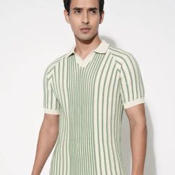 Peregrine By Pantaloons Birds Egg Green Cotton Slim Fit Striped Polo T-Shirt-picture-17