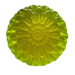GROOVY Set Of 4 Invigorating Aloe Vera Soap With Eucalyptus Oil - 100 g Each-11