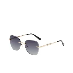 KOSCH ELEMENTE Women Grey Lens & Gold-Toned Butterfly Sunglasses with-picture-19