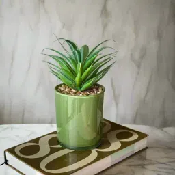Mason Home Green Plastic Big Artificial Succulent-image-14