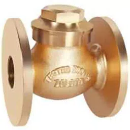 Drp 2 Inch,50 mm Bronze Horizontal Check Valve No. 9-25