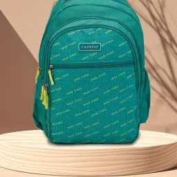 Caprese Poly Nylon Sage Green Women Backpack-picture-12