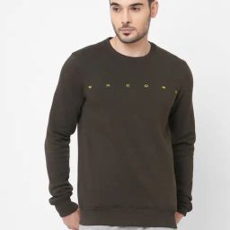Sweet Dreams Olive Regular Fit Sweatshirt-picture-16