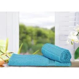 Bianca D'ross Blue 380 GSM Hand Towels - Set of 2-24