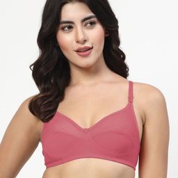 LILY iteerp Pack Of 2 Women Solid Full Coverage image 4