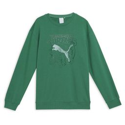 PUMA x TMNT Youth Graphic Boys Printed Cotton Relaxed Fit Sweatshirt-image-99