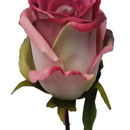 OGI INTERIORS Pink 1 Pieces Rose Artificial Flower-image-57