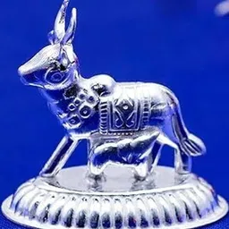 ASTRO-D Unisex Silver Showpieces-picture-3