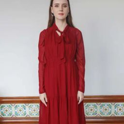 Zink London Red A-Line Dress-image-85