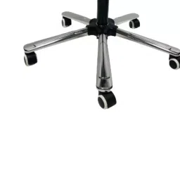 Ergonomica Stainless steel Chair Base Silver Free Size, Ergo19-image-58