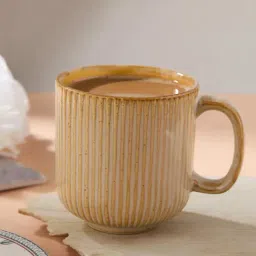Fabindia Natural Ceramic Mug-picture-35