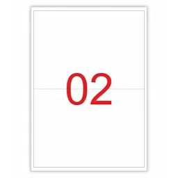 DAILY SO KI 2 A4 White Self Adhesive Sticker 40 Sheets & 80 Label for Laser & Inkjet Printers-46