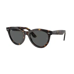 Ray-Ban Grey Oval Unisex Sunglasses-image-97