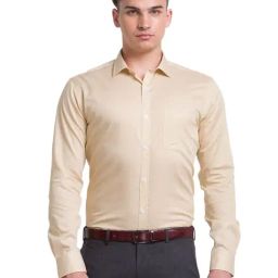 Park Avenue Beige Cotton Slim Fit Printed Shirts-image-11
