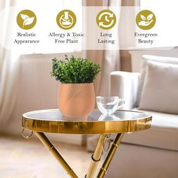 Kuber Industries Gold-Toned & Green 3 Pieces Artificial Flower With Pot image 4